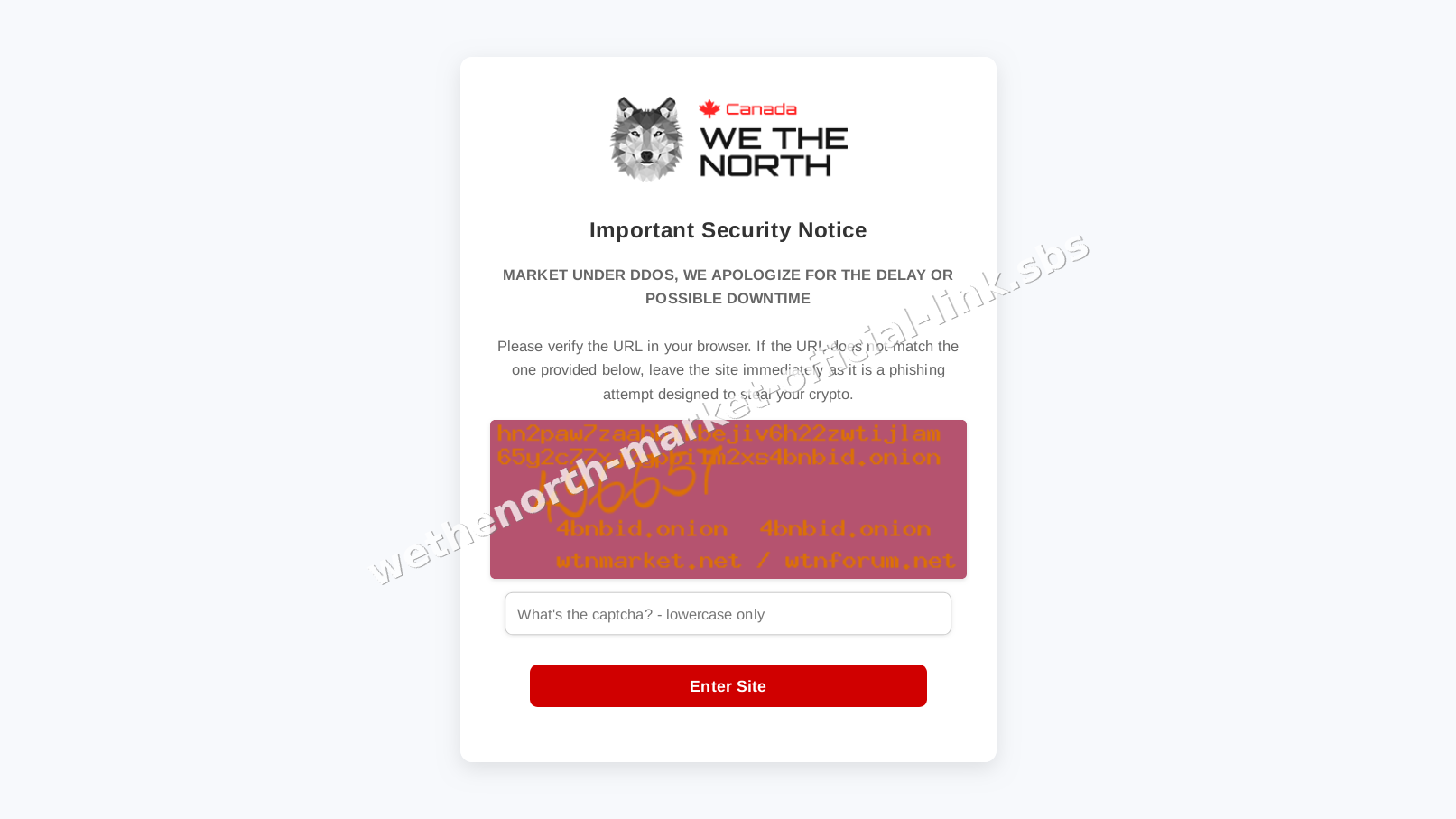 Wethenorth Market Official Link interface — view 4